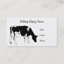 Search for dairy milk business cards Cattle