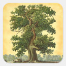 Search for oak tree stickers Vintage