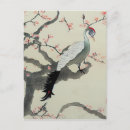 Search for bird cherry postcards Peacock