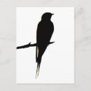Search for swallows postcards Birds