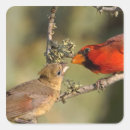 Search for mating stickers Bird