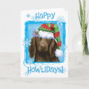 Search for flat coated cards Snowflakes