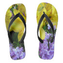 Search for daylily Elegant