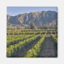 Search for idyllic magnets Travel