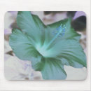 Search for hibiscus mousepads Flowers