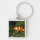 Search for false accessories Animals