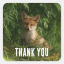 Search for red fox stickers Wild