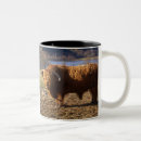 Search for scottish highlands mugs Europe