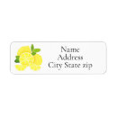 Search for fruit slices return address labels Oranges
