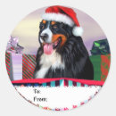 Search for bernese stickers Bmd