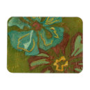 Search for orange flower magnets Abstract