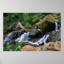 Search for blissful posters Nature