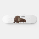 Search for arctic skateboards Ocean