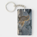 Search for sea lion key rings Beach