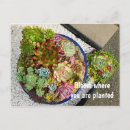 Search for planter postcards Nature