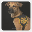 Search for brown dogs stickers Animals