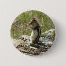 Search for ground badges Cute