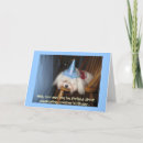 Search for maltese birthday cards Funny