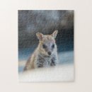 Search for wildlife puzzles Animal