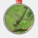 Search for dragonflies christmas tree decorations Insect