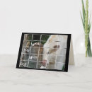 Search for cow get well cards Humour