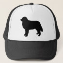 Search for mountain hats Bernese mountain dog