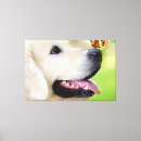 Search for labrador retriever memorial Dog lover