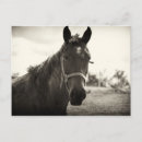 Search for tone postcards Vintage