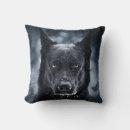 Search for german shepherd cushions Animals