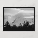 Search for cold postcards Trees