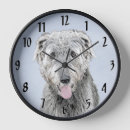 Search for irish wolfhound Grey