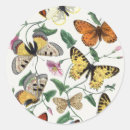 Search for vintage botanical illustration stickers Nature