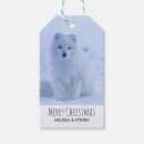 Search for cute arctic fox crafts party White
