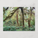 Search for washington state parks postcards Moss