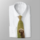 Search for goldendoodle ties Puppy