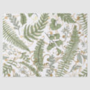 Search for transparent tissue paper Green