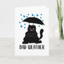 Search for funny weather cards Cat