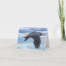 Search for corvids Rook