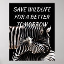 Search for save wildlife posters Nature
