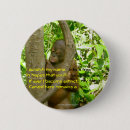 Search for orangutans badges Great ape