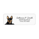 Search for cattle dog return address labels Pet