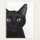Search for steampunk office supplies Cute pets