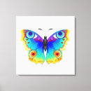 Search for rainbow butterfly canvas prints Colourful