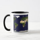 Search for shallow mugs Photography