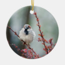 Search for grumpy christmas tree decorations Bird