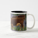Search for texas bluebonnet mugs Field