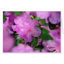 Search for fragrant cards Pink