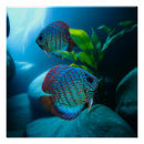 Search for tank art Aquarium fish
