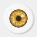 Search for haunted magnets Funny