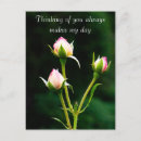 Search for rosebud Floral